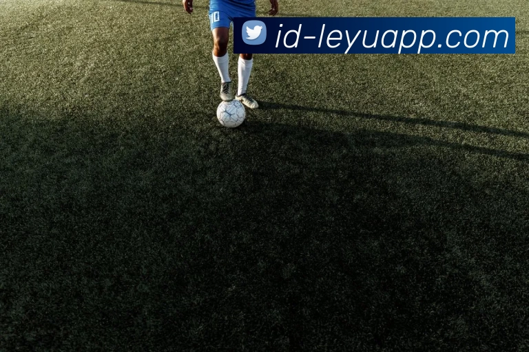 App界面